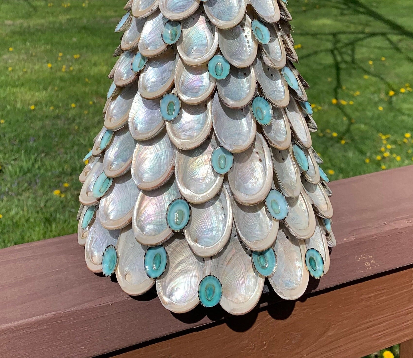 Abalone Tree with Starfish