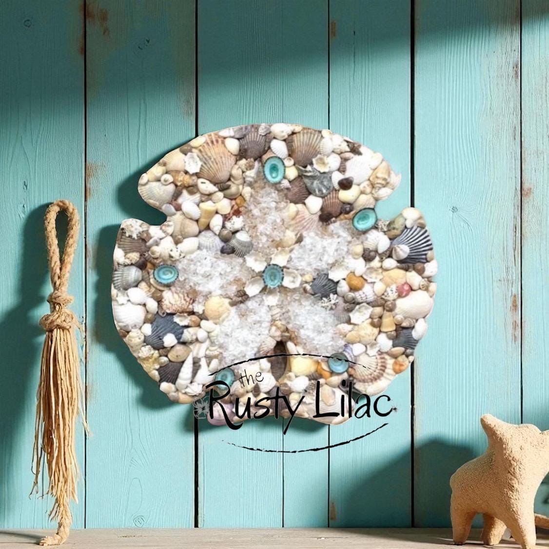 Sand Dollar Seashell Wall Art