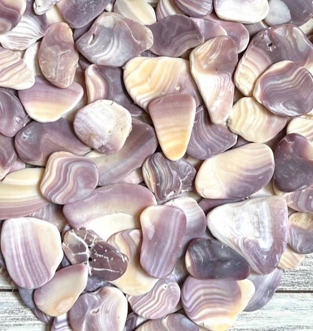 Wampum Shell Heart Decor: Outer Banks Rustic Wall Art