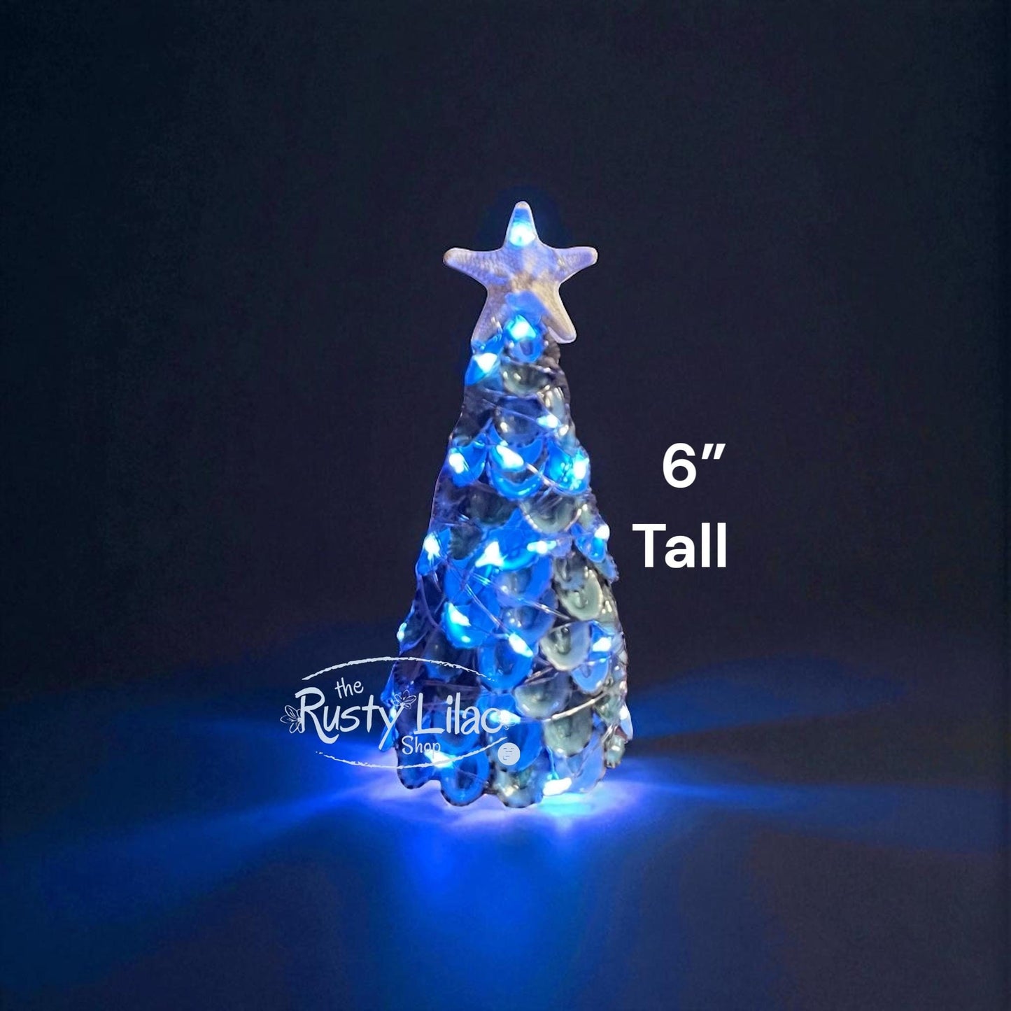 Blue Green Limpet Seashell Tree