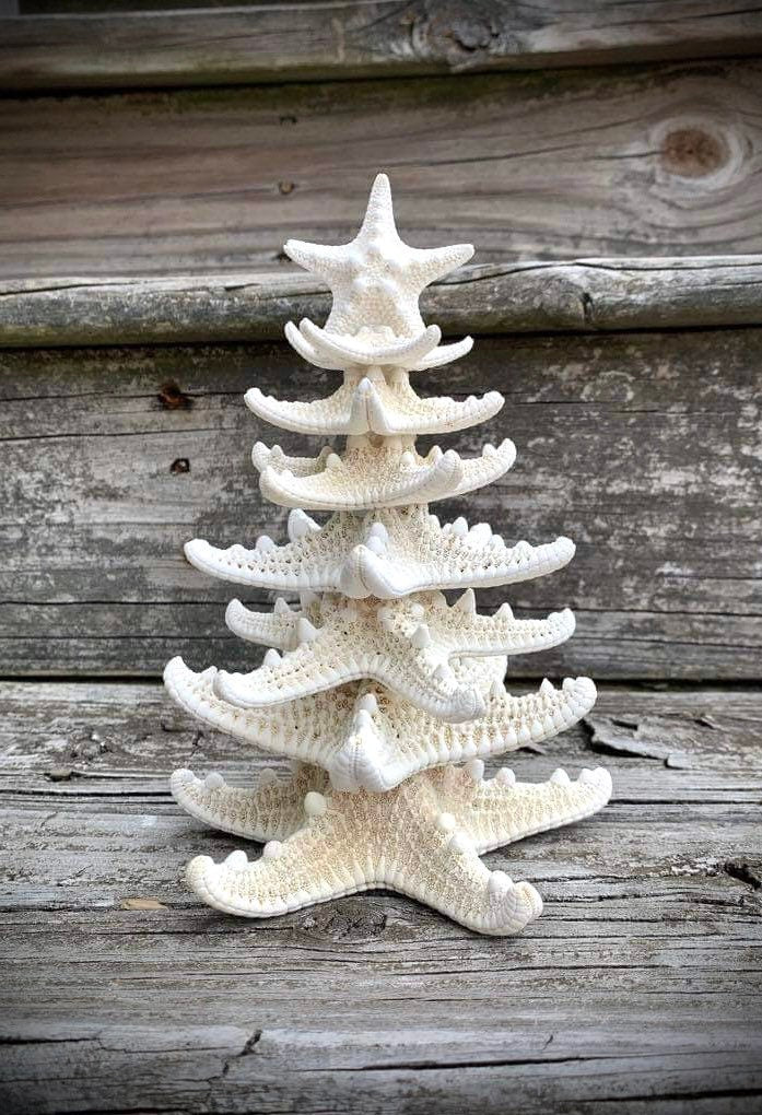 Starfish Tree 7”: Coastal Nautical Decor, OBX Family Gift