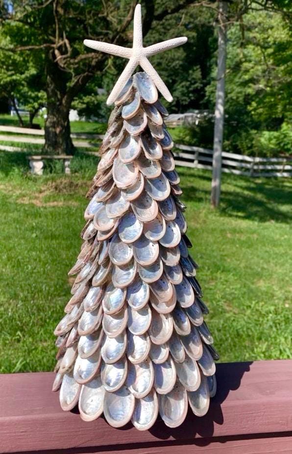 Abalone Tree with Starfish