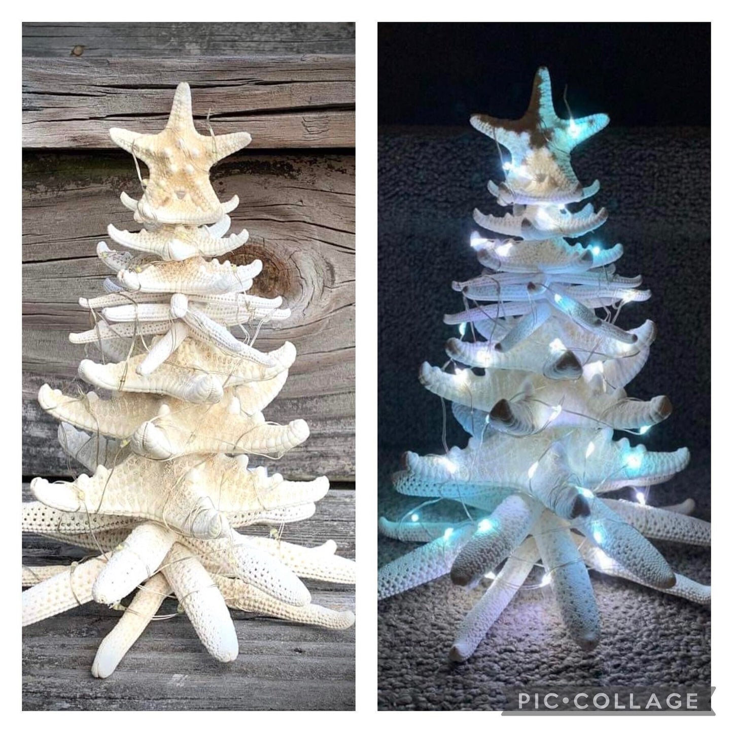 Starfish Tree 7”: Coastal Nautical Decor, OBX Family Gift