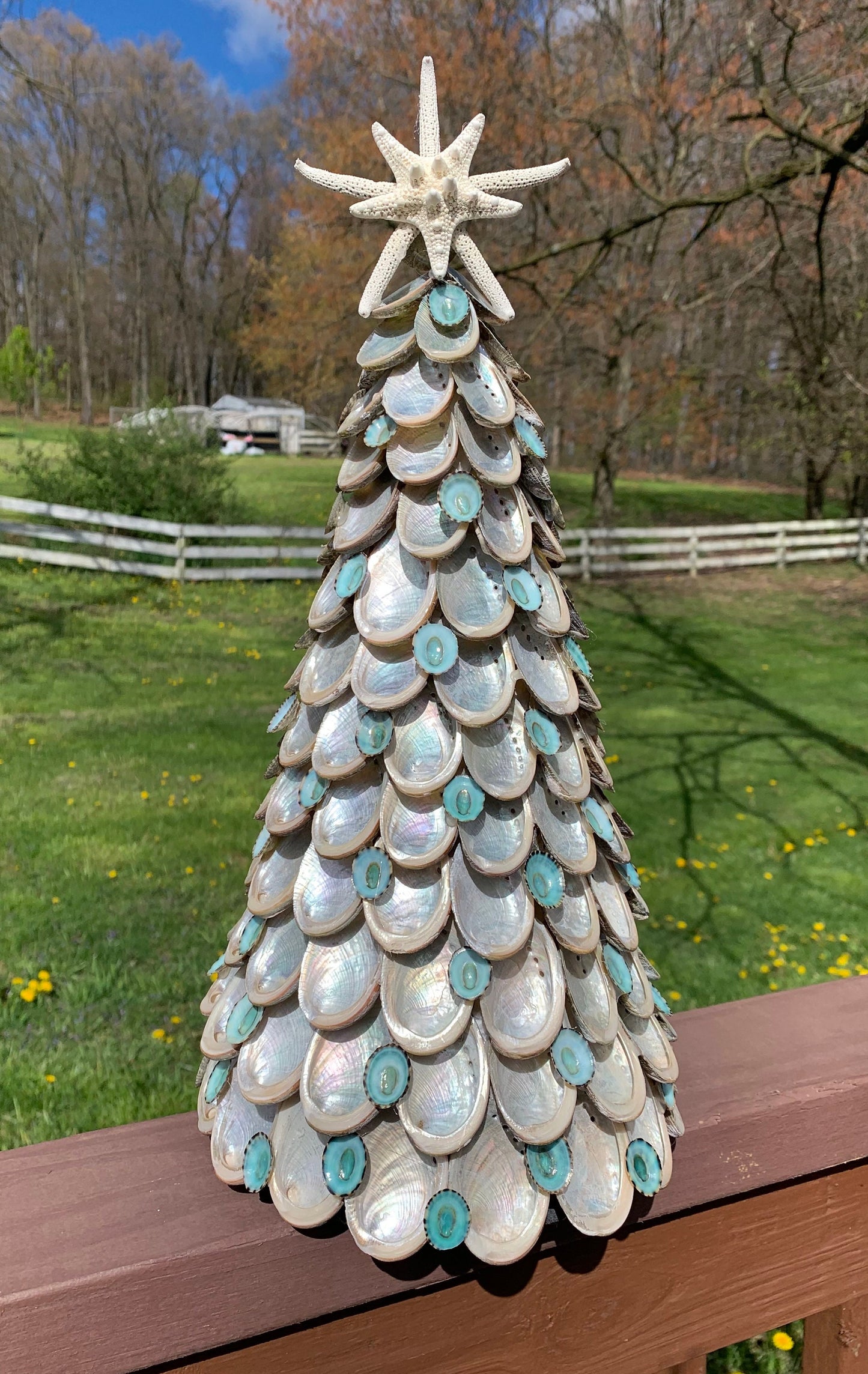 Abalone Tree with Starfish