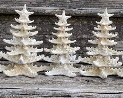 Starfish Tree: Coastal Nautical Decor, Genuine Sea Star (11”)