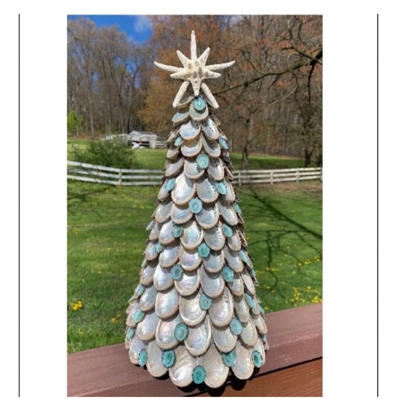 Abalone Tree with Starfish
