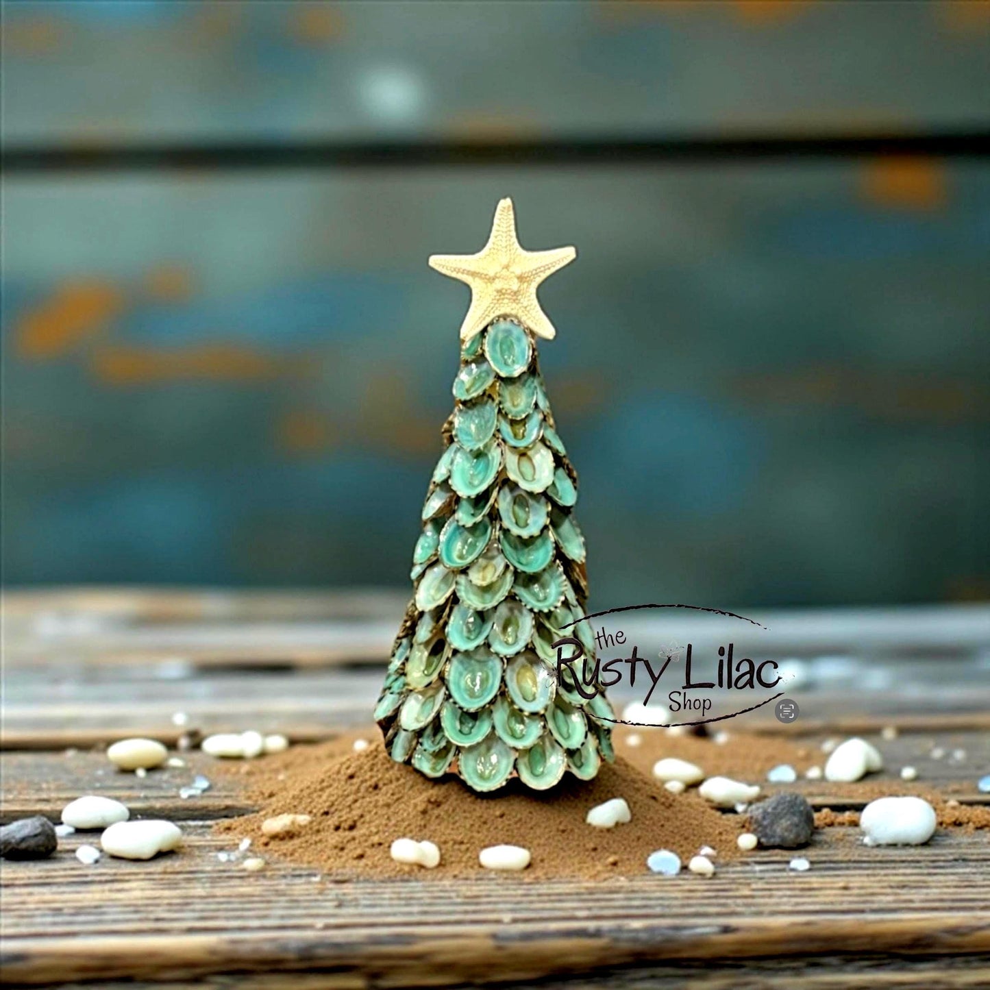 Blue Green Limpet Seashell Tree