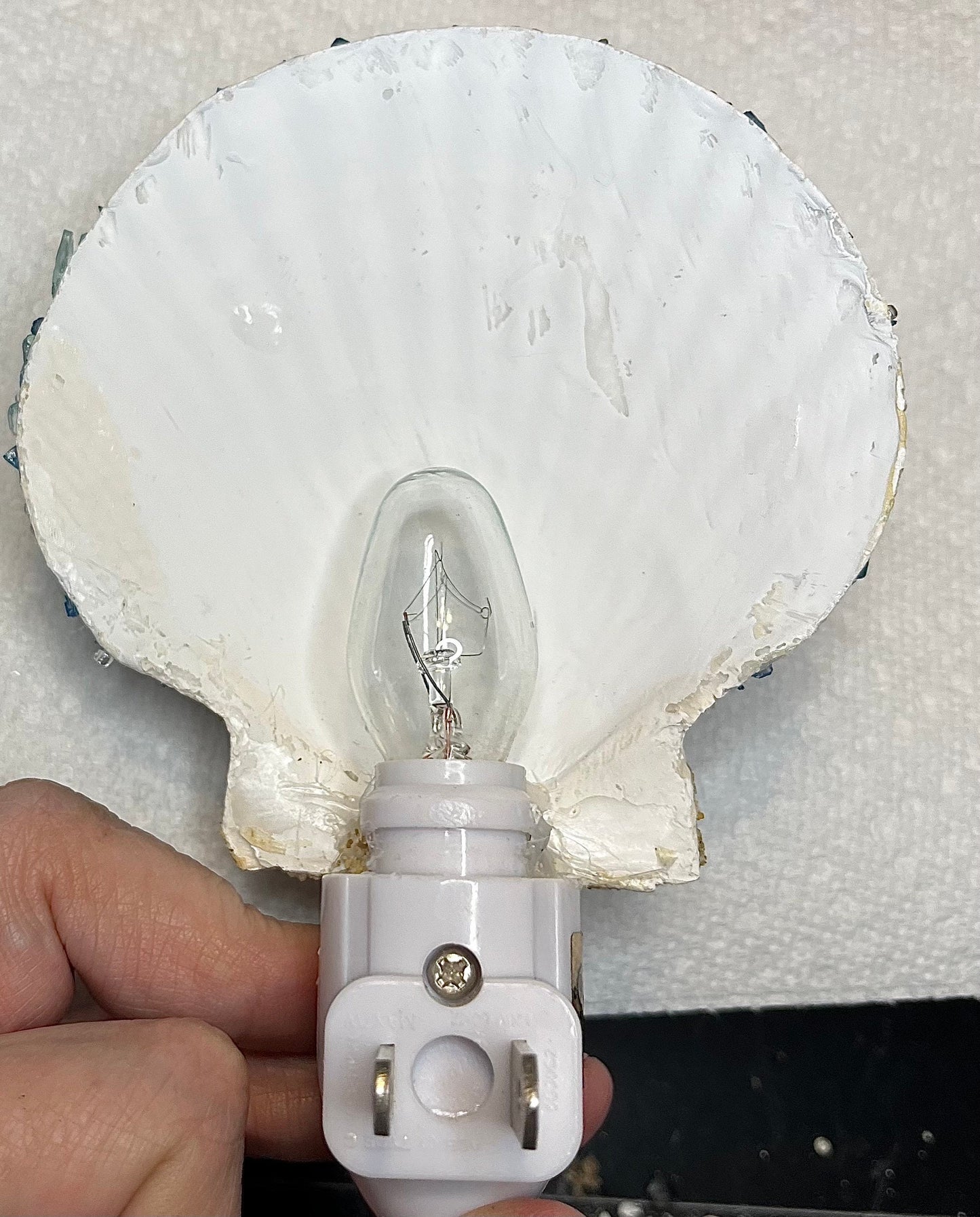 Handcrafted Nativity Night Light: Seashell, Starfish & OBX Sand