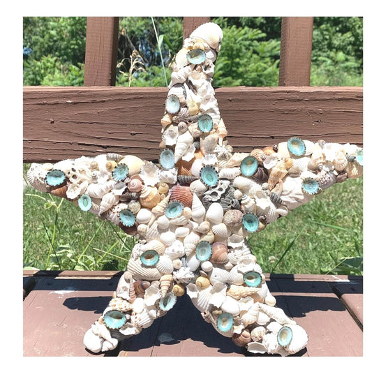 Starfish Seashell Wall Art