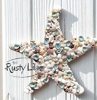Starfish Seashell Wall Art