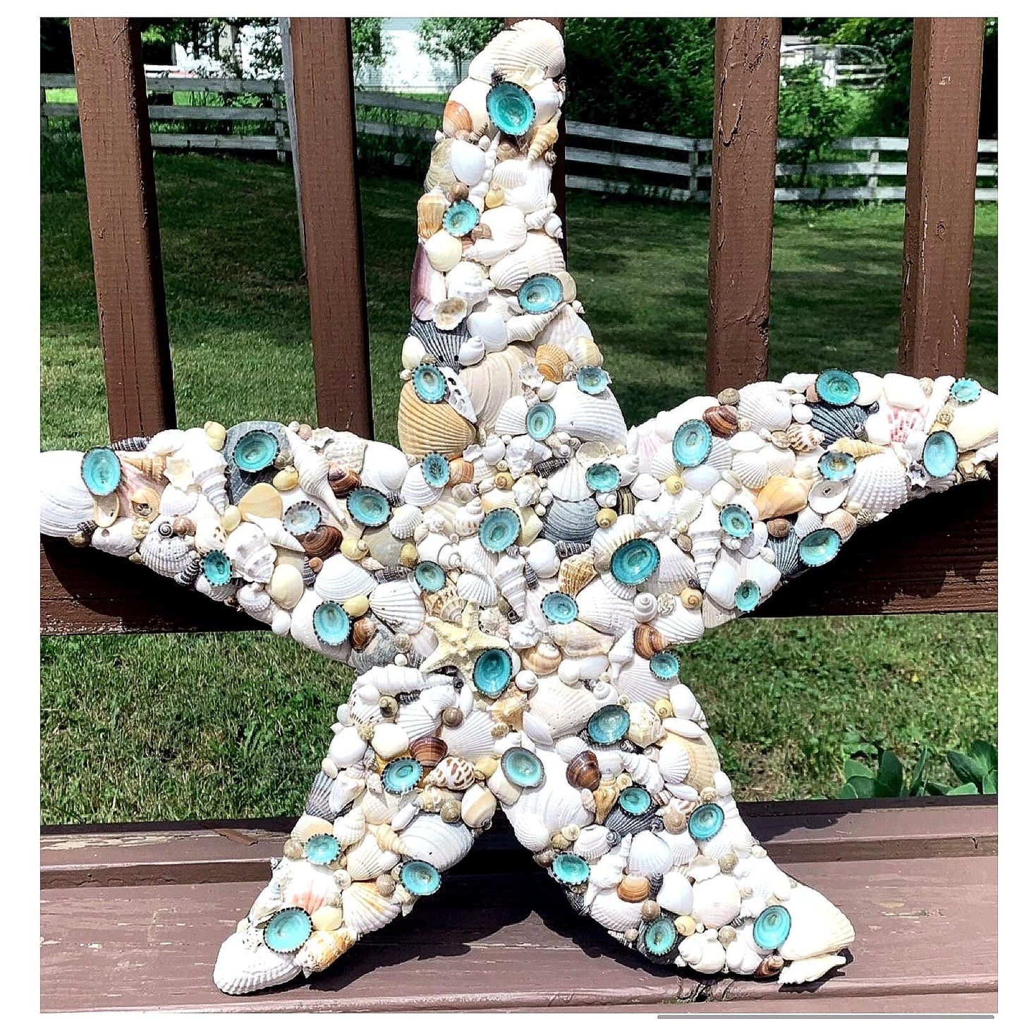 Starfish Seashell Wall Art