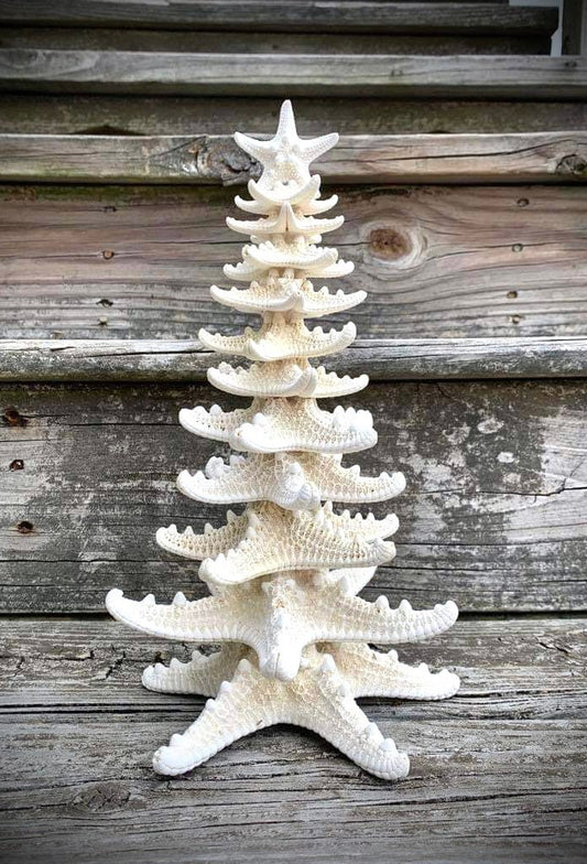 Starfish Tree: Coastal Nautical Decor, Genuine Sea Star (11”)