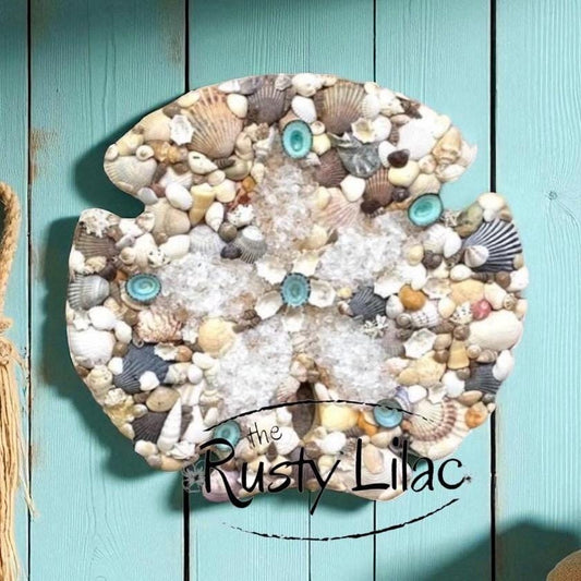 Sand Dollar Seashell Wall Art