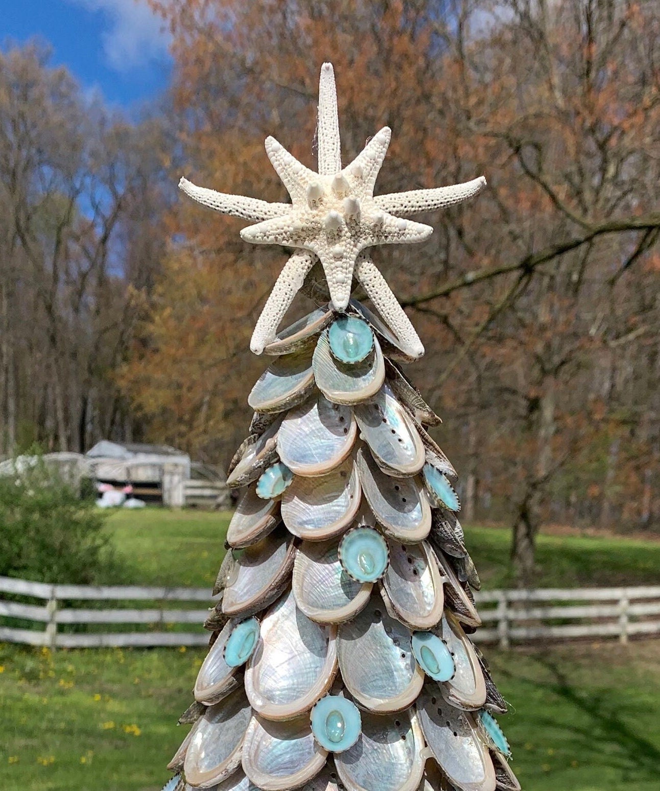 Abalone Tree with Starfish
